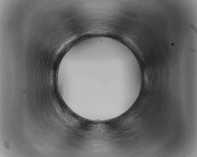 X0000100380396200806271339