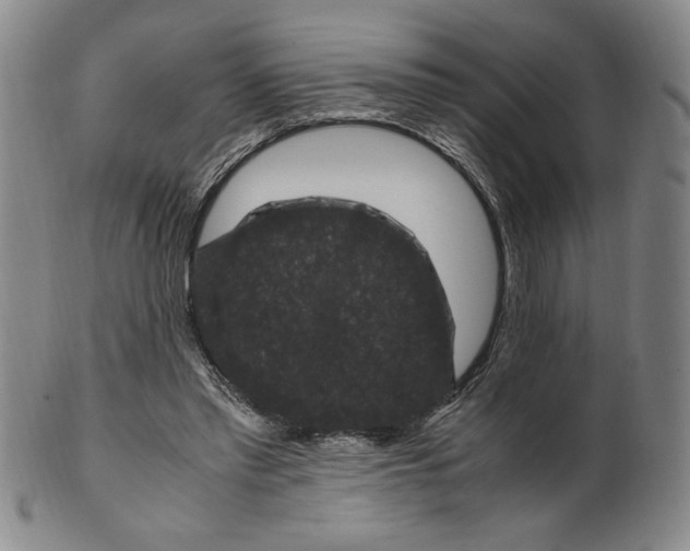 X0000100380397200806271339