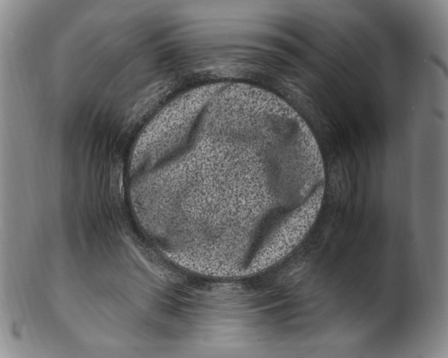 X0000100380398200806271339