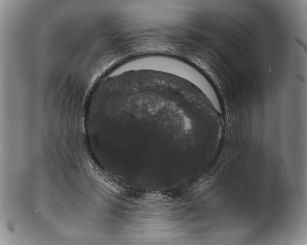 X0000100380399200806271339