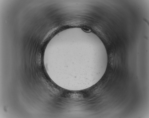 X0000100380400200806271339