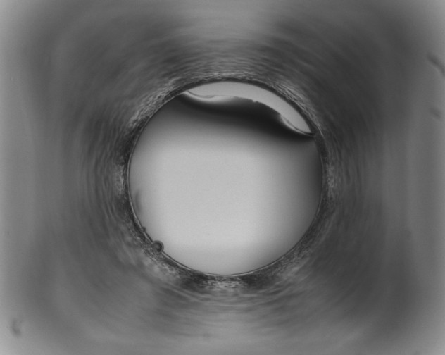X0000100380401200806271339
