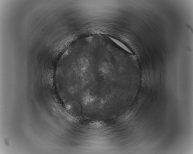 X0000100380402200806271339