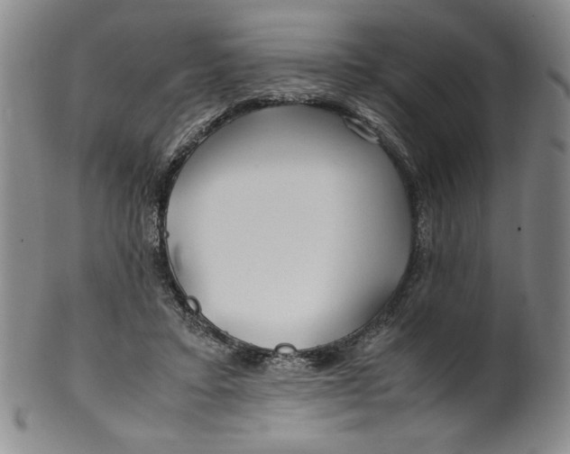 X0000100380403200806271339