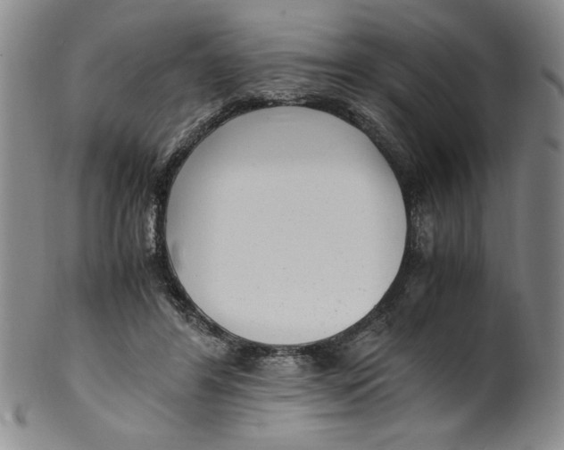 X0000100380404200806271339