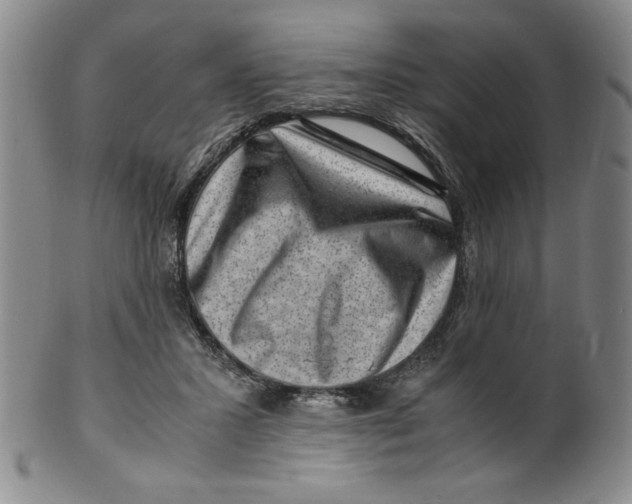 X0000100380407200806271339