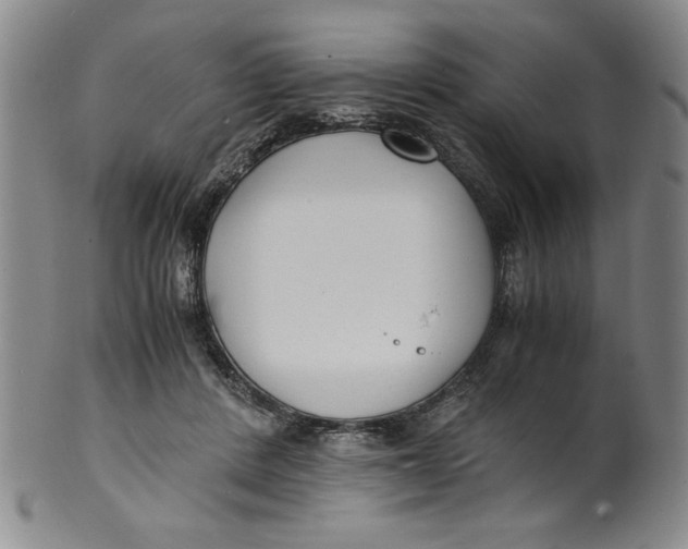 X0000100380408200806271339