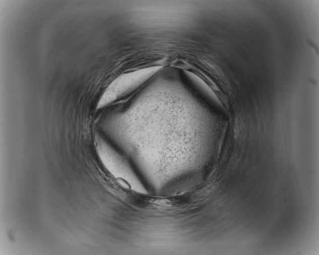 X0000100380409200806271339