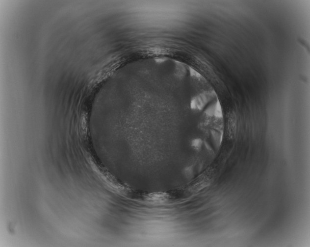 X0000100380410200806271339