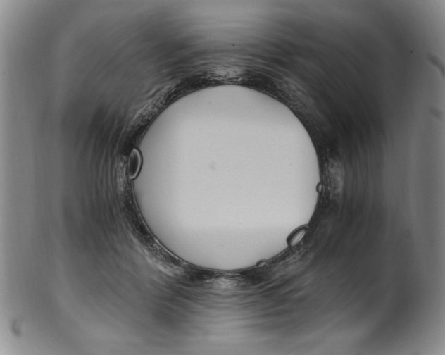 X0000100380412200806271339