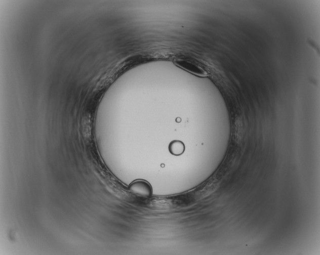X0000100380413200806271339