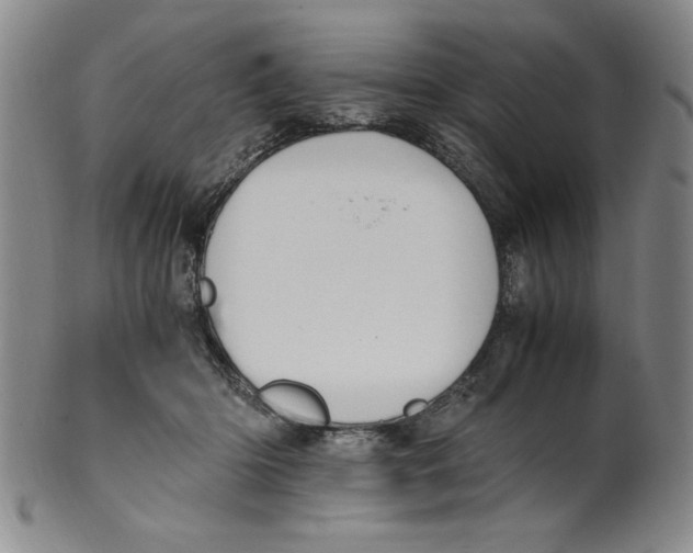 X0000100380414200806271339