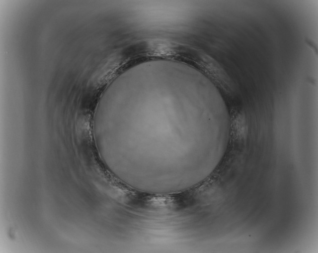 X0000100380415200806271339