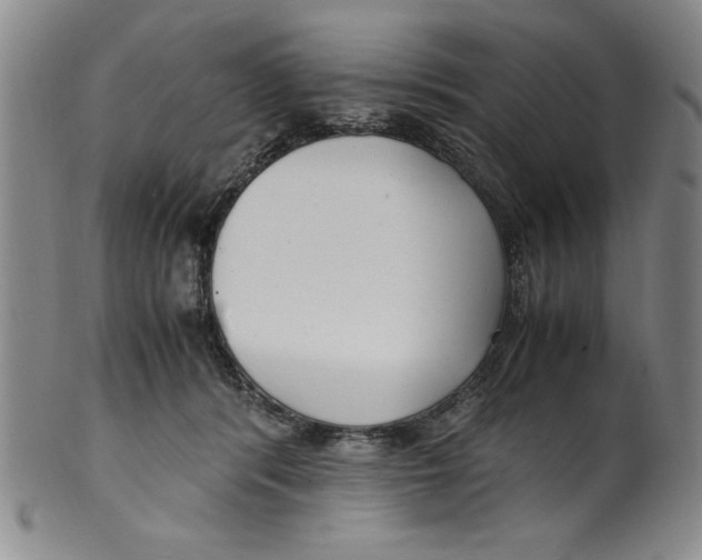 X0000100380416200806271339