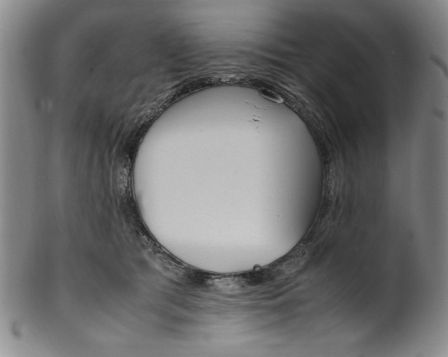 X0000100380417200806271339