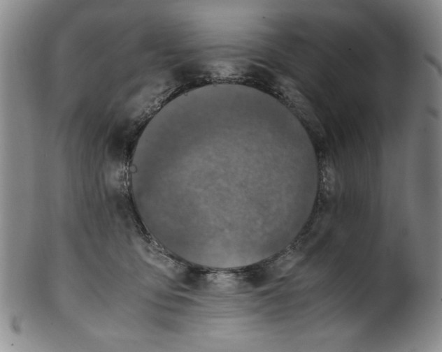 X0000100380419200806271339