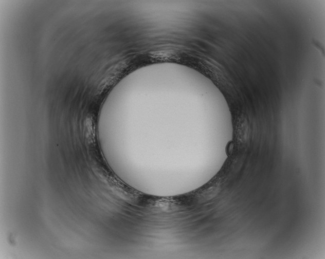 X0000100380420200806271339