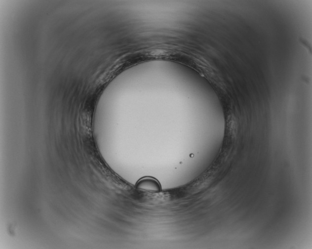 X0000100380421200806271339