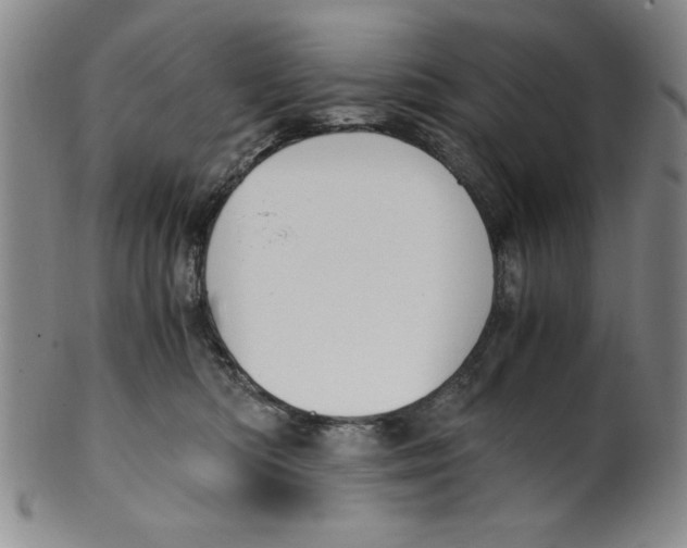 X0000100380422200806271339