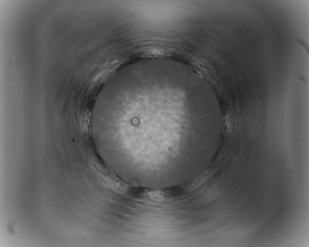 X0000100380423200806271339