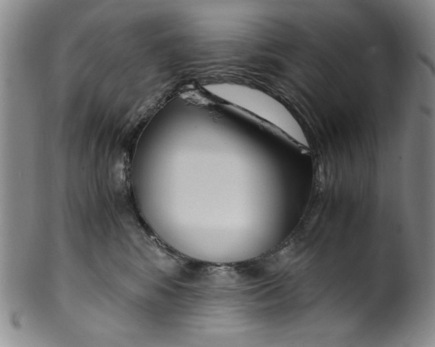 X0000100380424200806271339