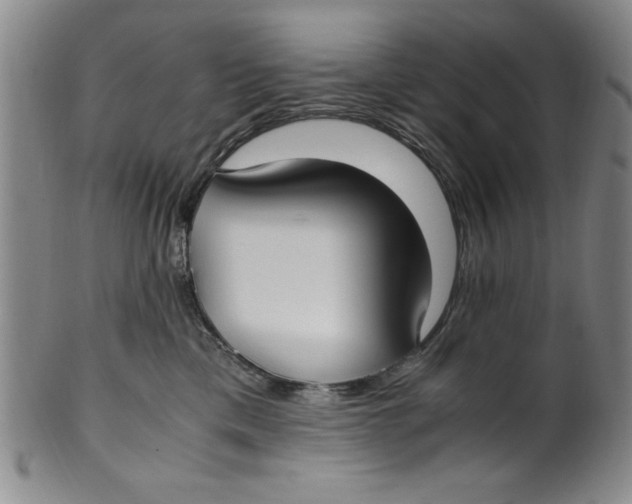 X0000100380425200806271339