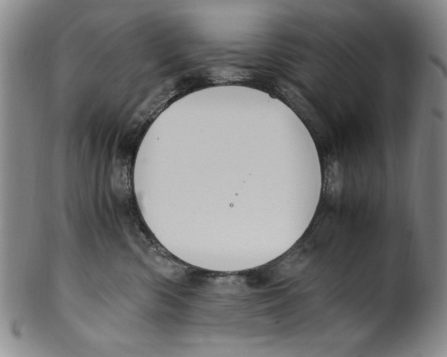 X0000100380426200806271338