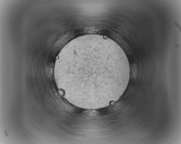 X0000100380427200806271338
