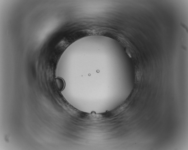 X0000100380429200806271338
