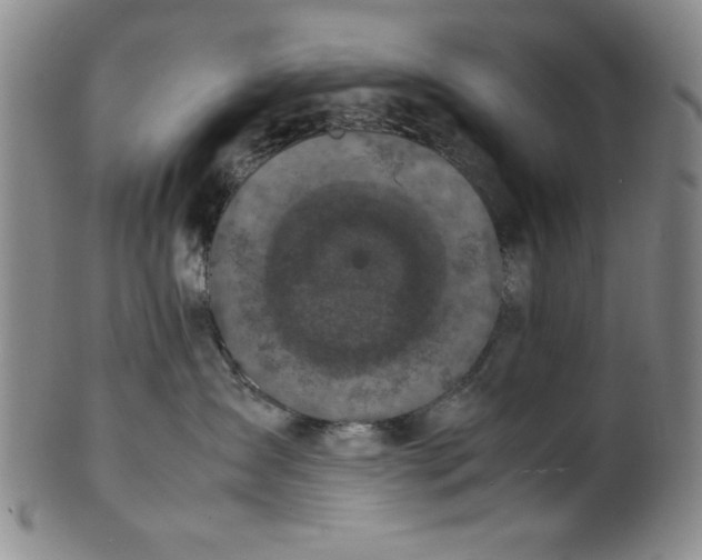 X0000100380431200806271338
