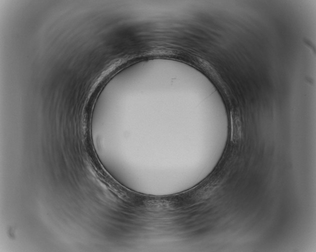 X0000100380435200806271338