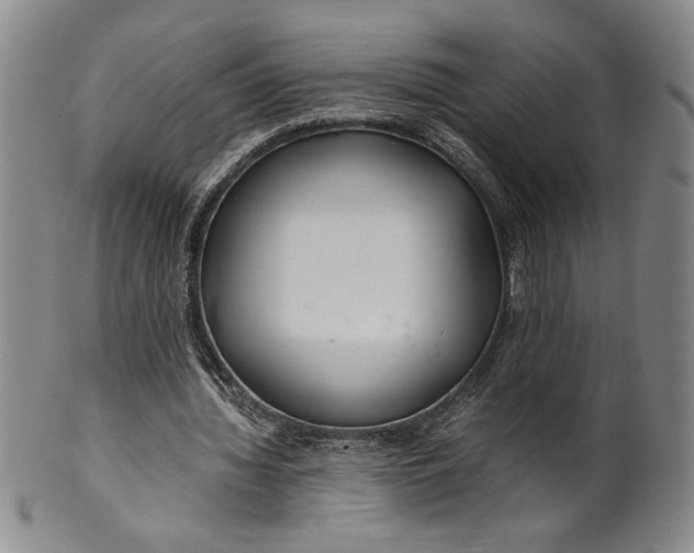 X0000100380436200806271338