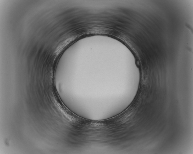 X0000100380437200806271338