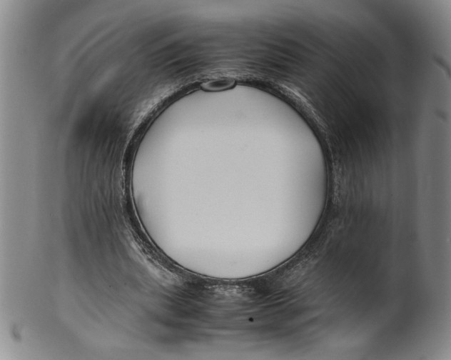 X0000100380439200806271338