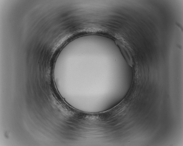 X0000100380440200806271338