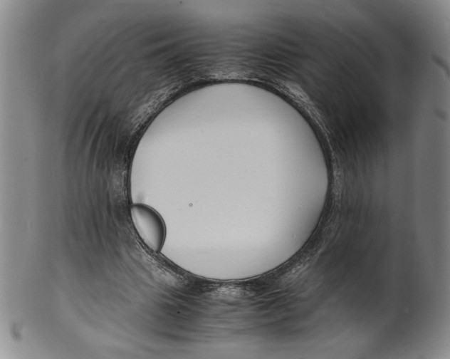 X0000100380441200806271338