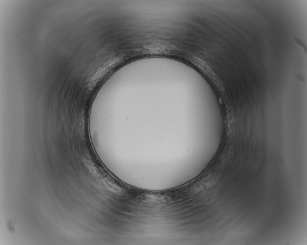 X0000100380442200806271338