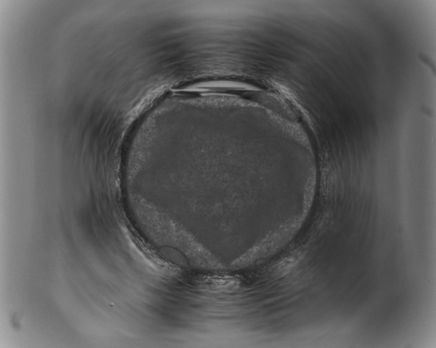 X0000100380443200806271338