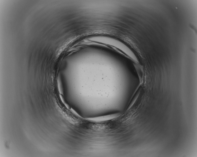 X0000100380444200806271338