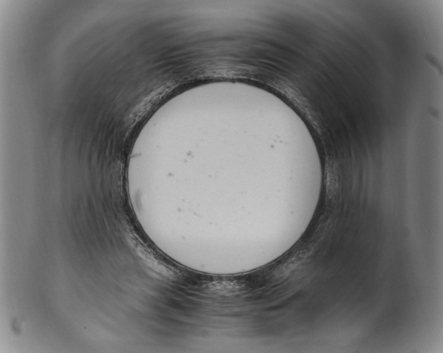 X0000100380445200806271338
