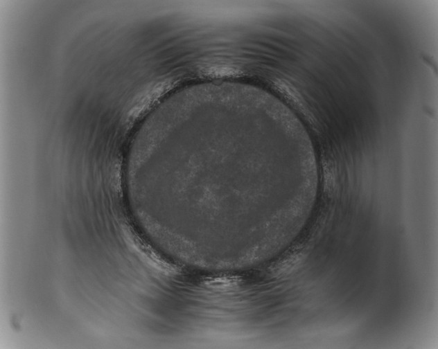 X0000100380447200806271338