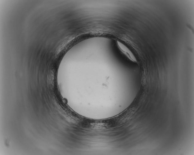 X0000100380448200806271338