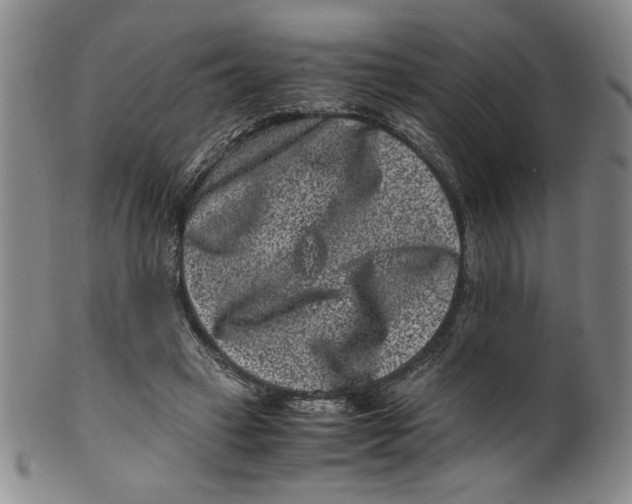 X0000100380449200806271338