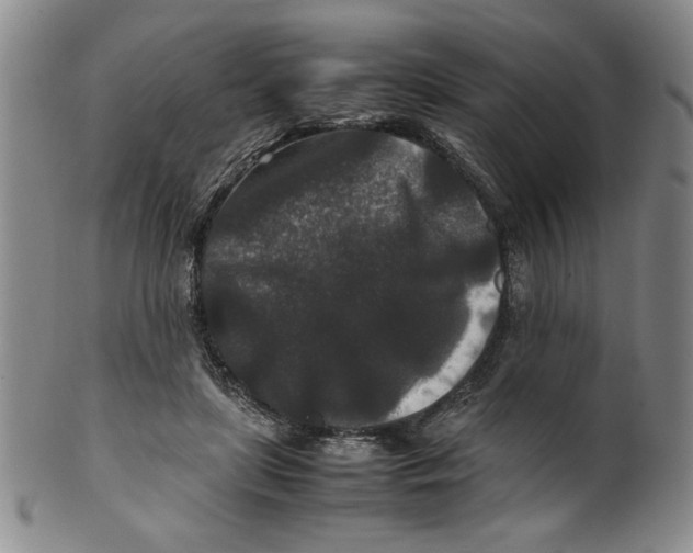 X0000100380451200806271338