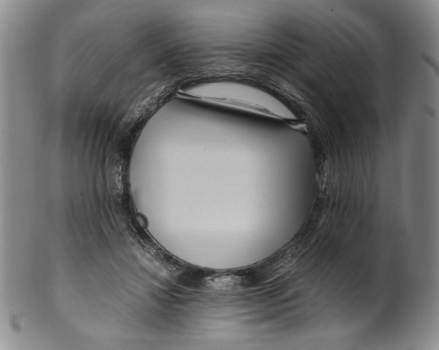 X0000100380452200806271338