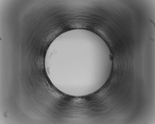 X0000100380453200806271338