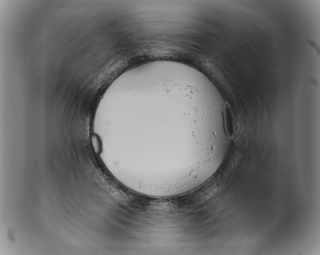 X0000100380454200806271338