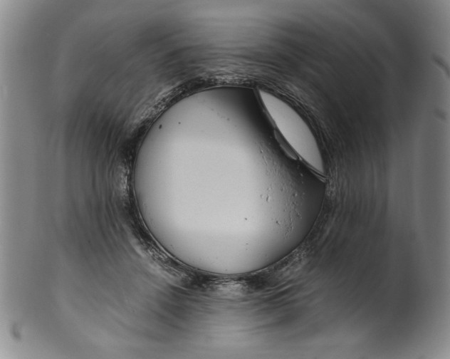 X0000100380456200806271338