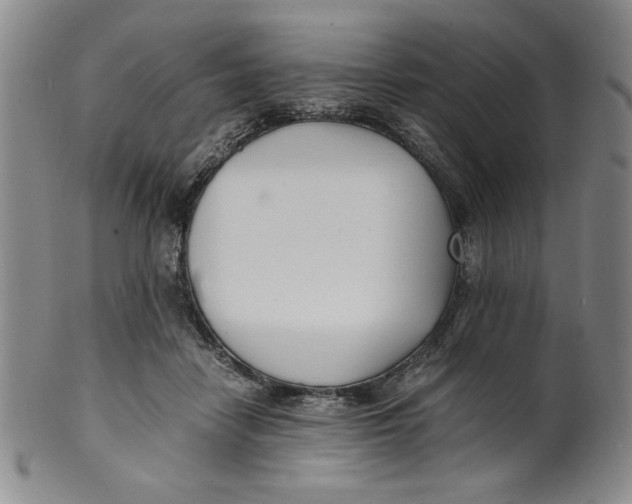 X0000100380458200806271338