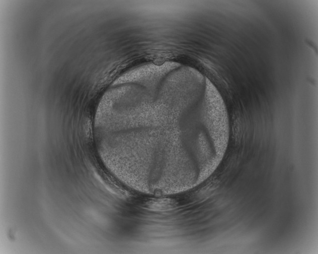 X0000100380459200806271338